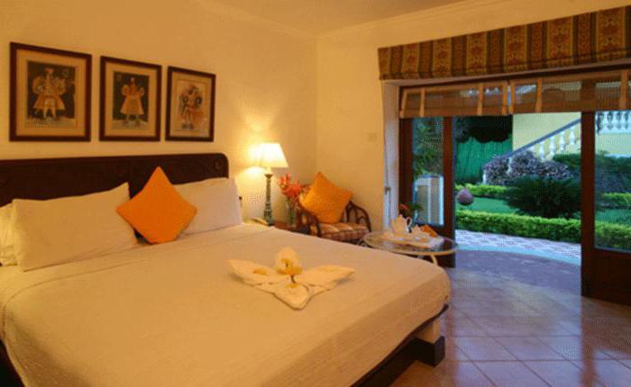 Mashina video bilan birovni eshakka sikish