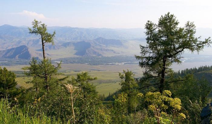 Асүйде дос қызымен құмарлықты сексуалды онлайн көру