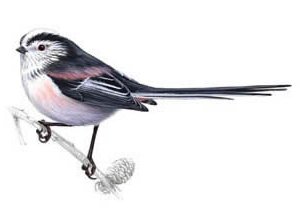 Порно Масино Денис