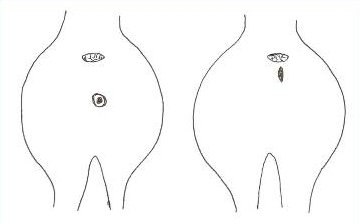 Жас қызбен жыныстық қатынасқа түсу видео