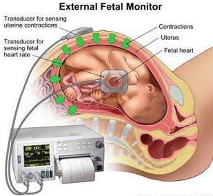 Мас әйел суретке өзінің мысығын көрсетті. Орыс үйдегі лесбиянка порно
