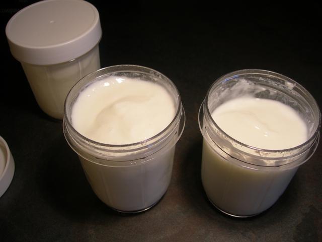 Yogurt Pada Waktu Malam Manfaat Atau Mudarat