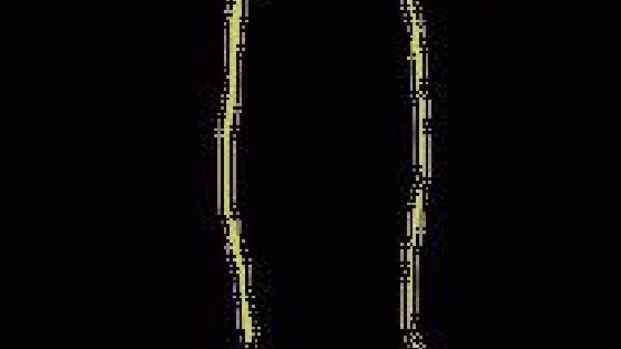 Ломоносовтан шыққан жезөкше