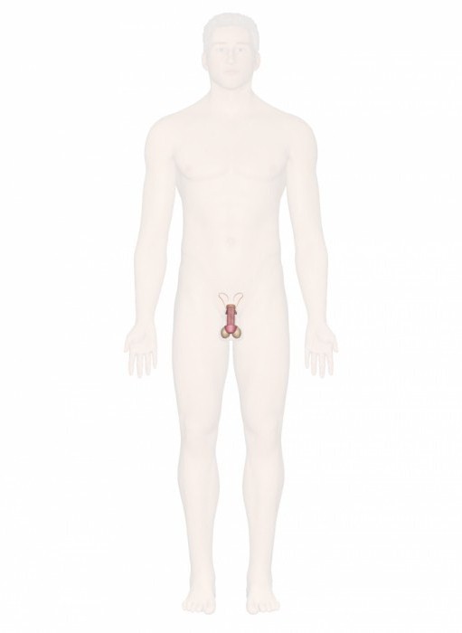 Vaginada sezgir joylar