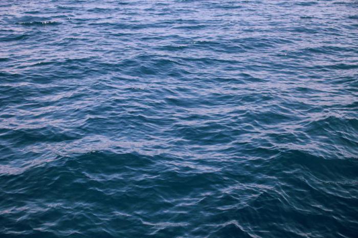 Әдемі украин қыздарының секс-порно видео