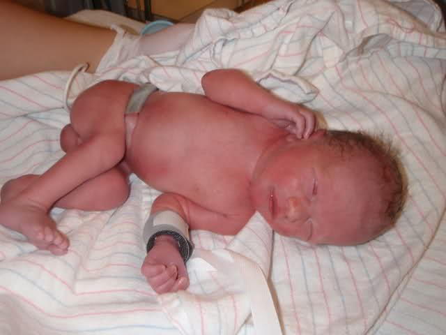 Жас әдемі кискалар