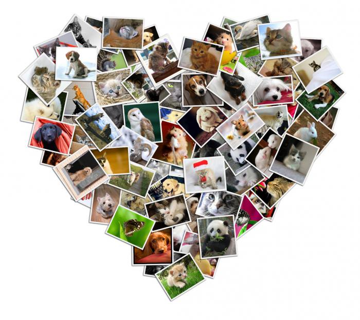 Жетілген әйелдердегі порно конвульсиялар Жалаңаш Таня Белово