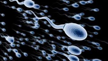 Erkak va ayol ortasidagi jinsiy aloqa aslida tasvirga olingan Boy ayollar bilan porno