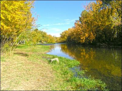 những gì thời tiết