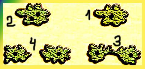 Мола Летки порно видео көреді