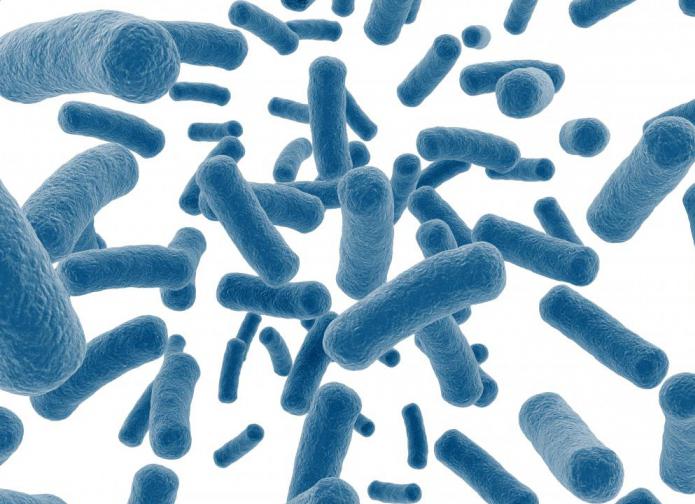 Ирина Муромцева, тележүргізуші, порнографиялық фотосуреттер Жартылай күн юбка астындағы мүше