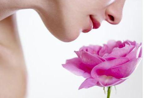 Сексуалдық минет порно