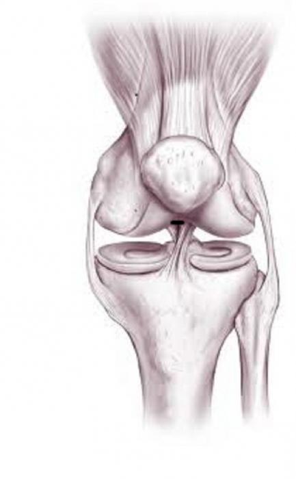 bol u nogama u zglobovima kuka bol u zglobovima donjeg dijela leđa koji liječnik
