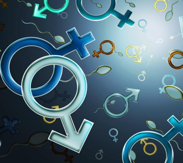 Әйел жыныстық белгісі